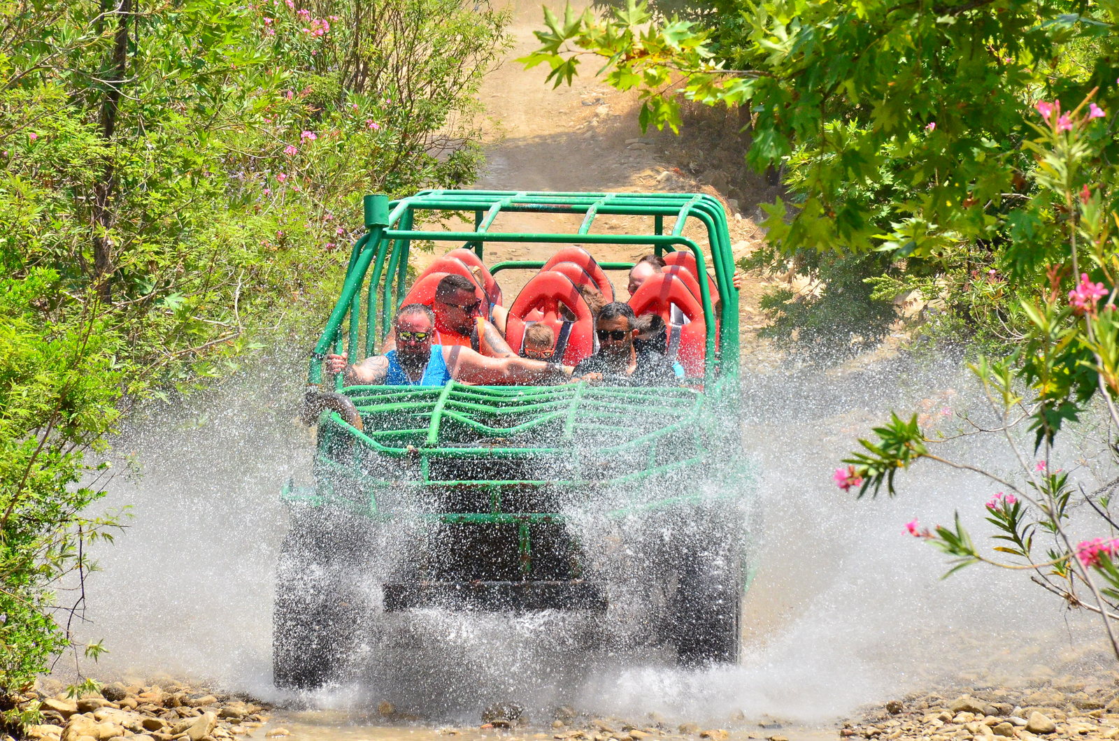 Buggy Safari
